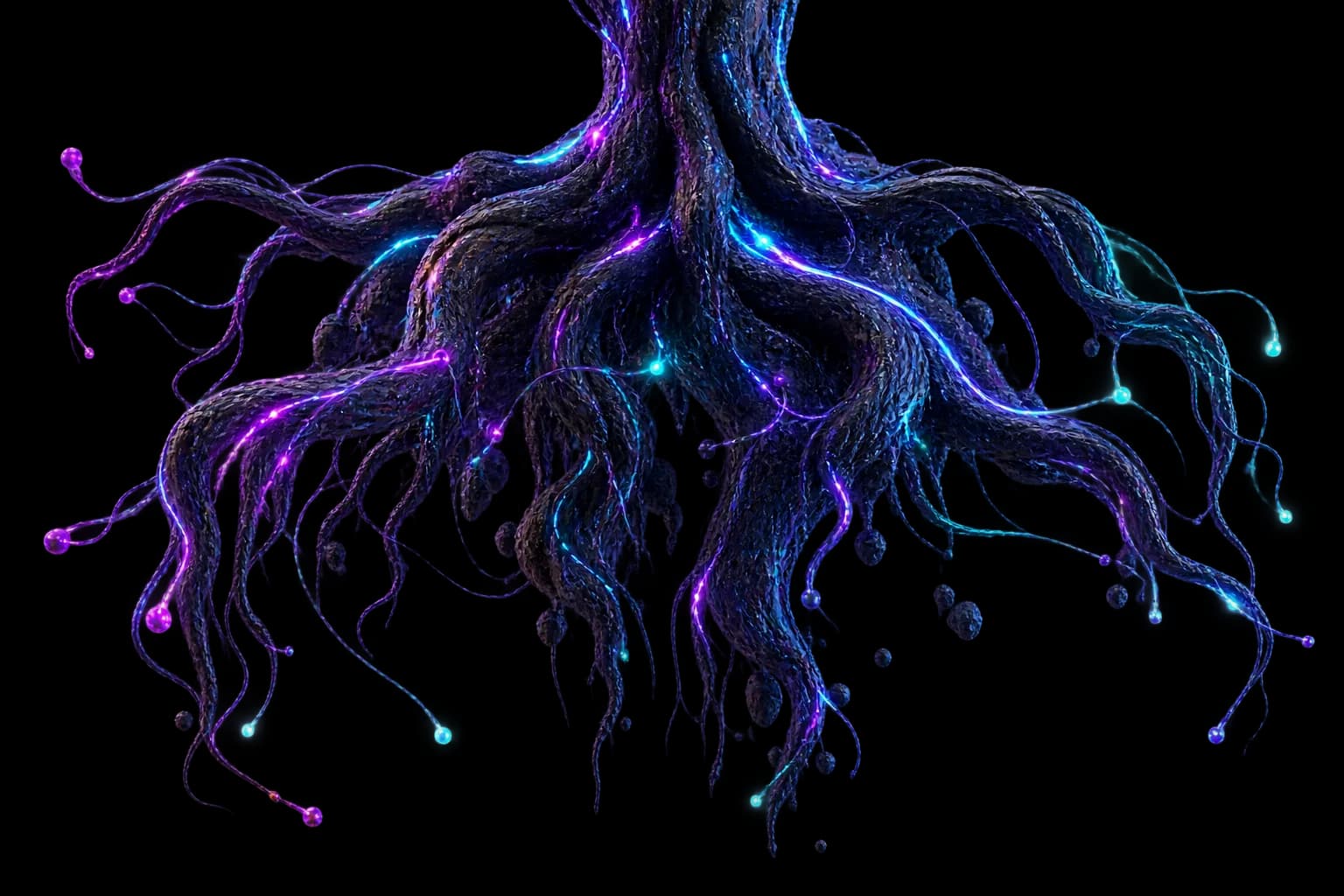 Raíces del árbol digital